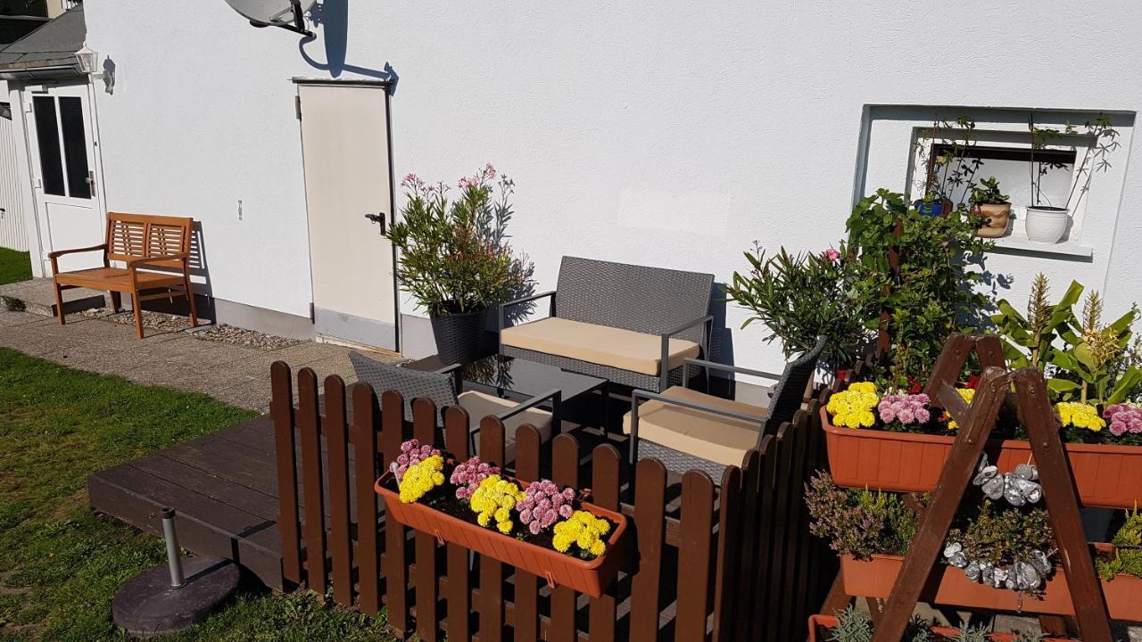 사스니츠 Ferienhaus In Hafennahe 아파트 외부 사진